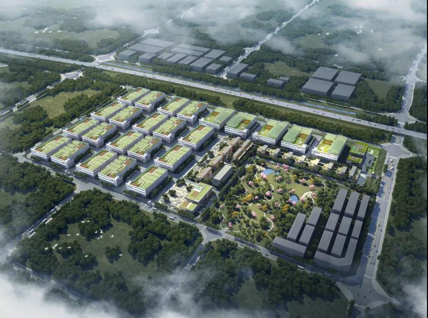 09071426157332.jpg 1.jpg